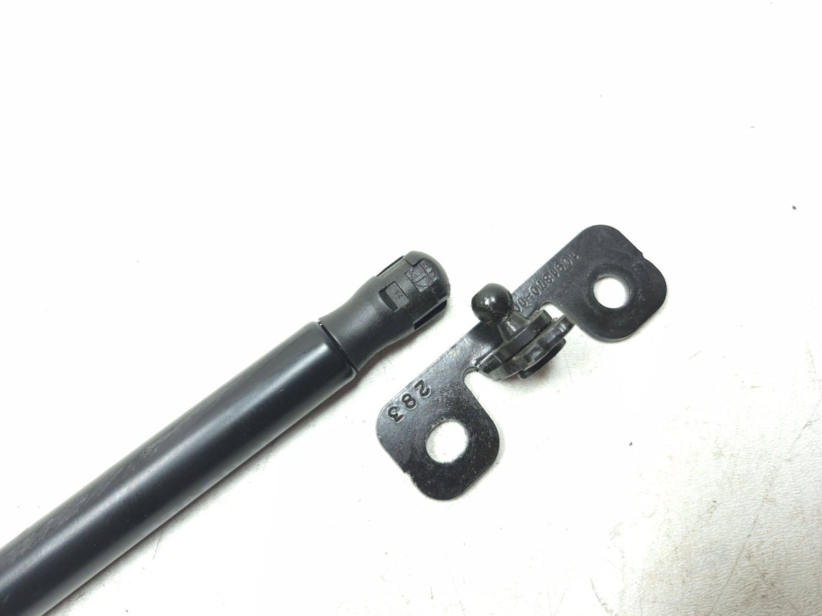 2020 Tesla Model 3 Front Bonnet Hood Strut Left & Right OEM