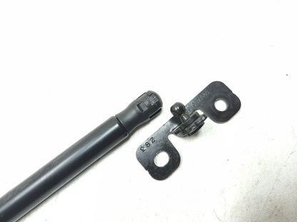 2020 Tesla Model 3 Front Bonnet Hood Strut Left & Right OEM