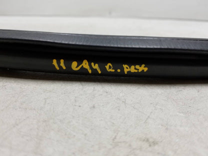10-17 Chevrolet Equinox Interior Door Glass Seal Sweep Passenger Side 2pcs OEM
