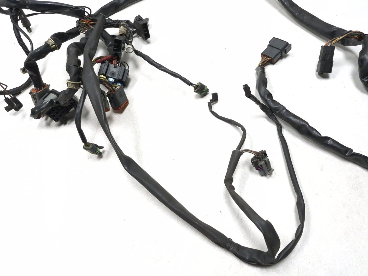 2003 Harley-davidson Fxdl Anniversary Dyna Main Wiring Harness OEM