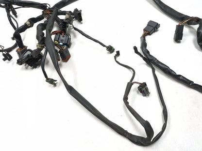 2003 Harley-davidson Fxdl Anniversary Dyna Main Wiring Harness OEM