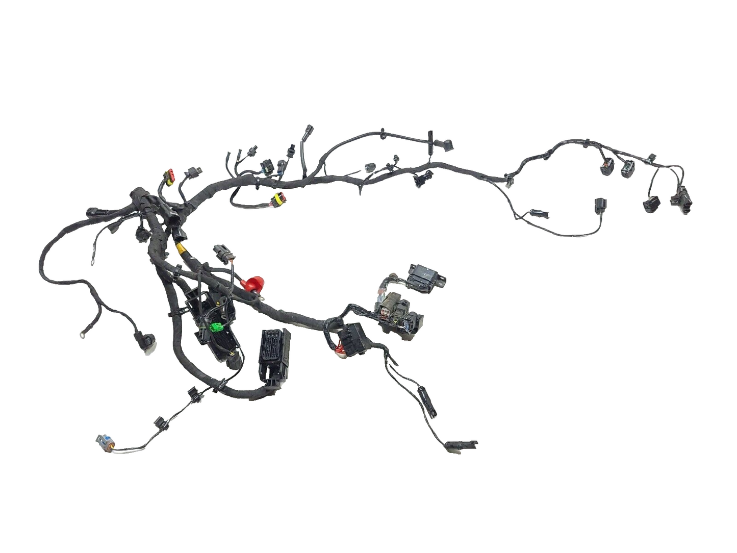 2024 BMW G310 Gs Main Wire Harness ABS OEM