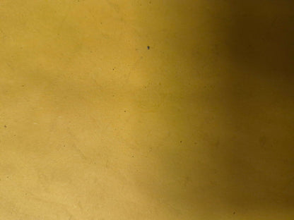 1999 Suzuki Intruder 1500 Engine Motor Mount Pair OEM