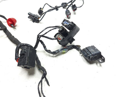 2024 BMW G310 Gs Main Wire Harness ABS OEM