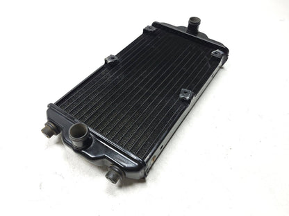 14 - 20 Harley Xg750 Street 750 Radiator Coolant   OEM