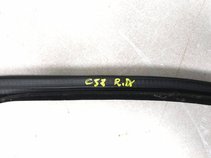 2018 Chrysler 300 Front Door Weatherstrip Seal Driver Side Left 2pcs OEM