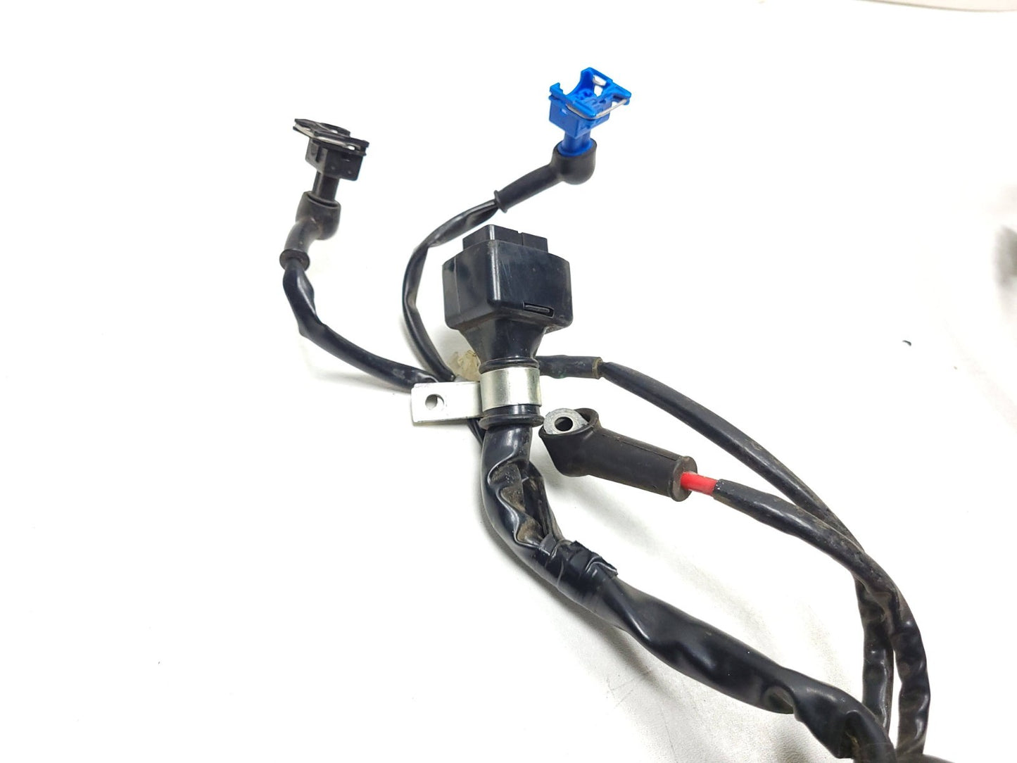 2017 Piaggio Fly Main Wiring Harness OEM