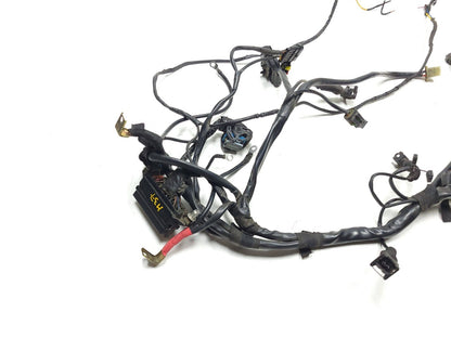 02-06 Ducati Monster M600 620 Main Wire Harness OEM