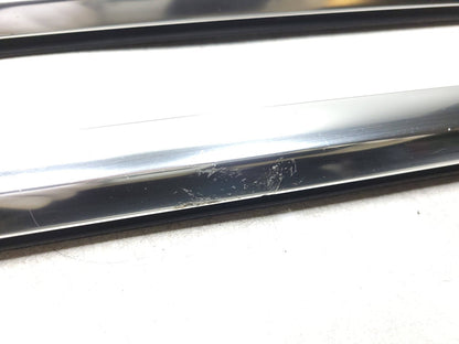 2010 - 2019 Jaguar XJ Door Glass Belt Seal Molding Set 4 OEM