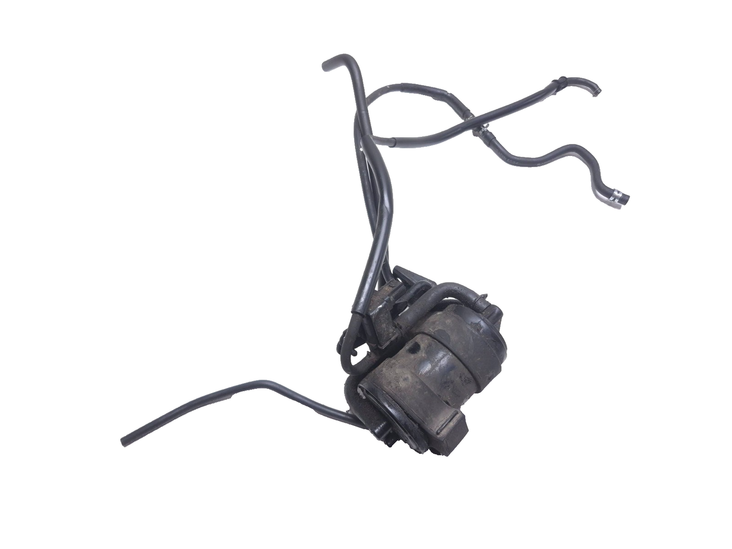 2020 Honda Cb300r Cbf300na Canister Charcoal OEM