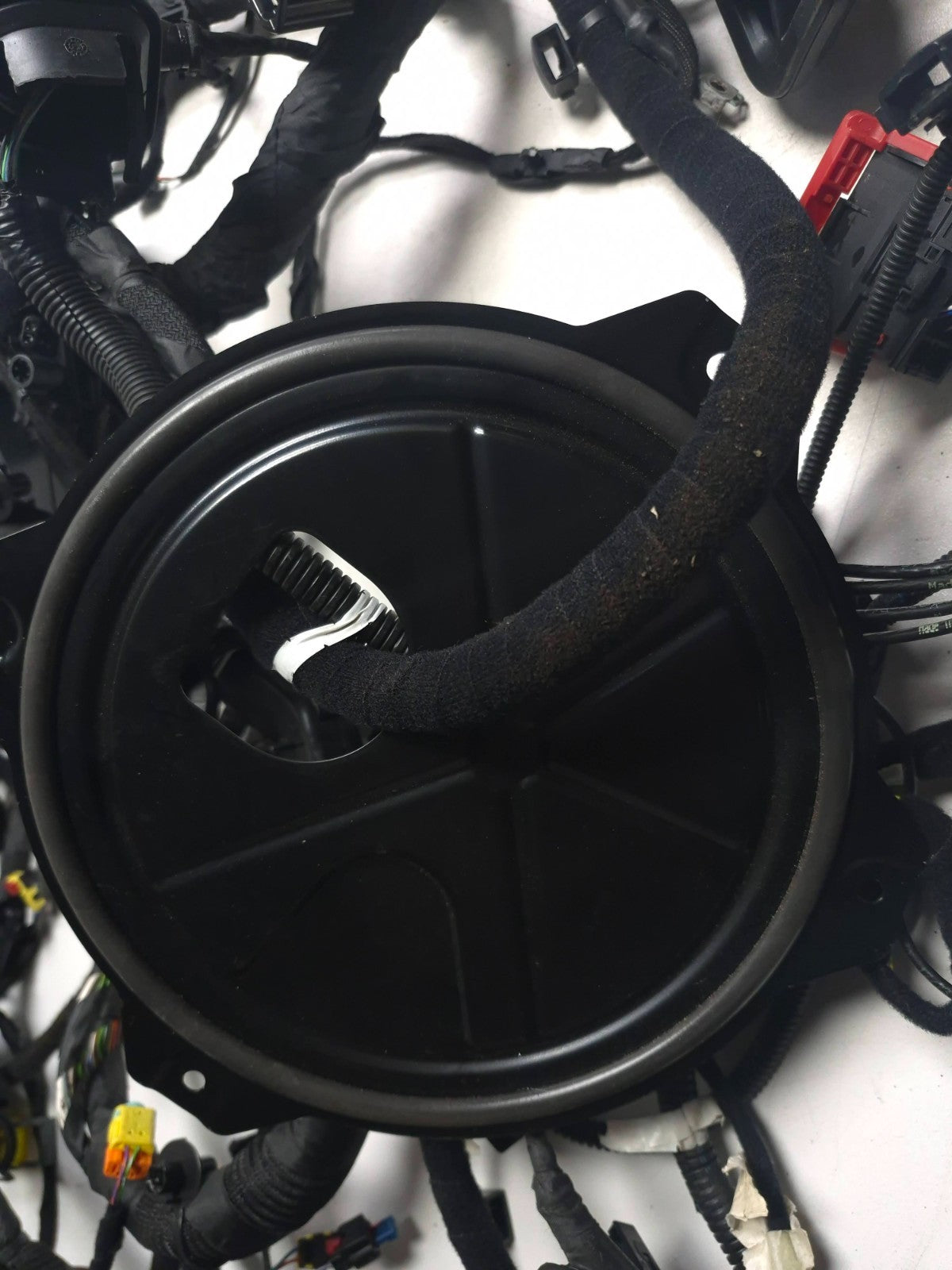 2024 Alfa Romeo Stelvio Interior Wire Harness OEM