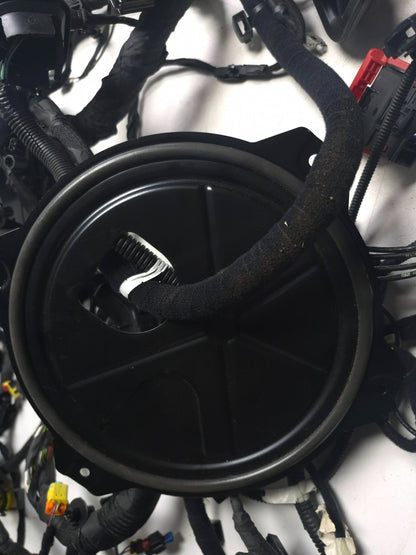 2024 Alfa Romeo Stelvio Interior Wire Harness OEM