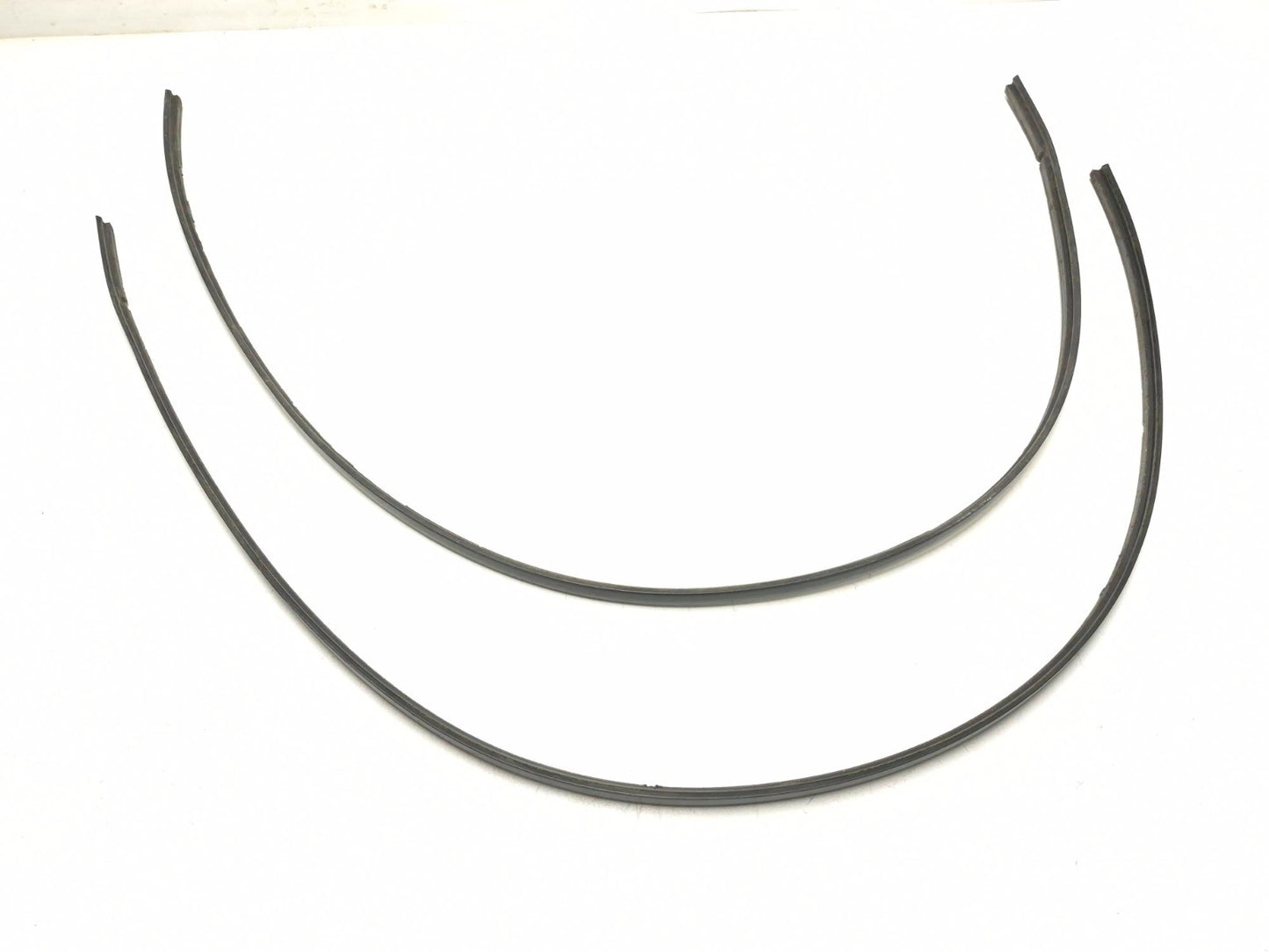 2020 Dodge Challenger Roof Molding Pair OEM