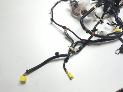 2010 Lexus Hs250h Interior Floor Body Wire Harness Right Passenger Side OEM