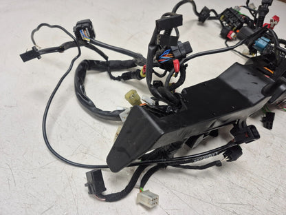 2022 Moto Guzzi V7 Main Wire Harness OEM