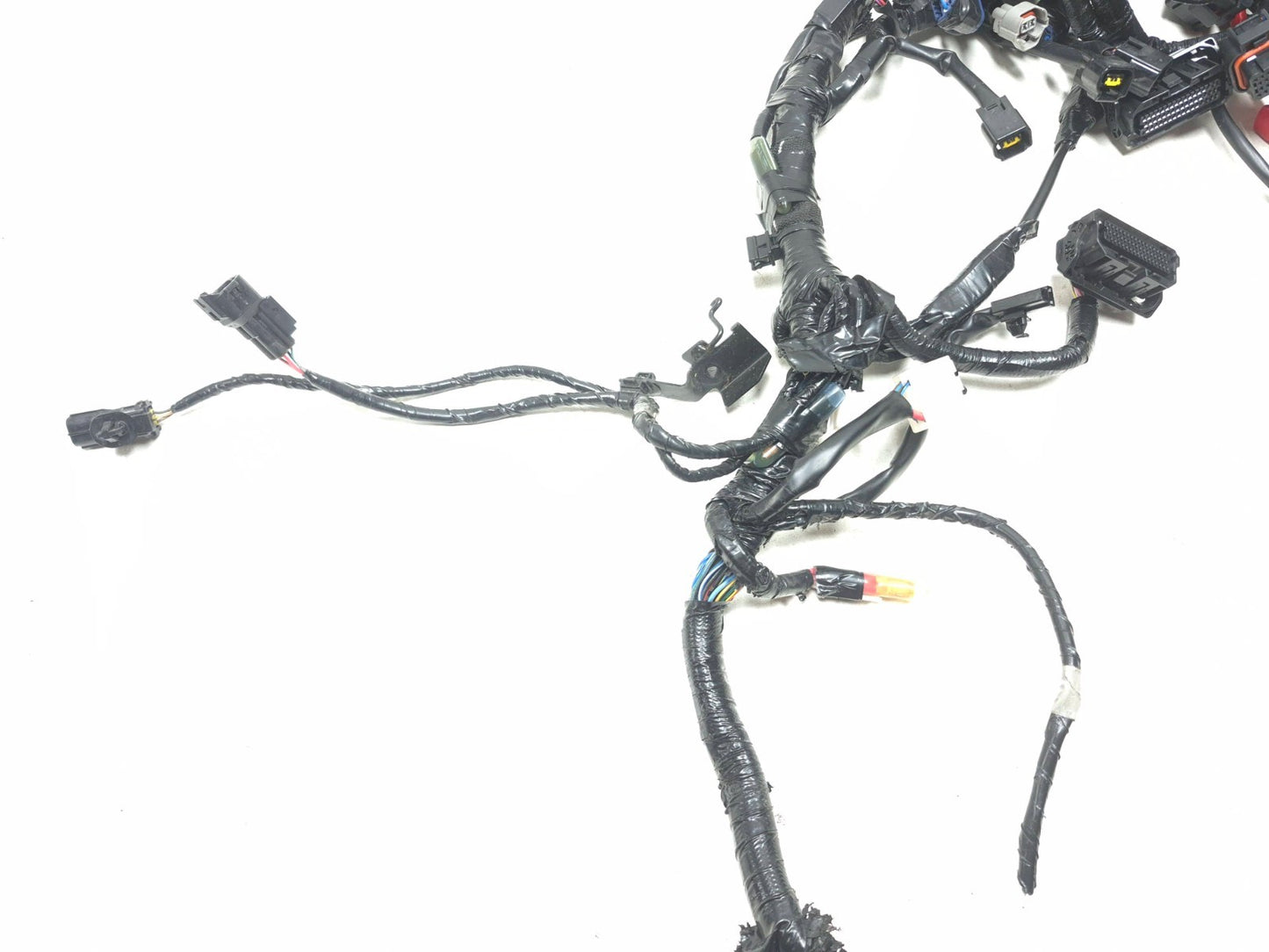2025 Yamaha Xsr900 Main Wire Harness OEM