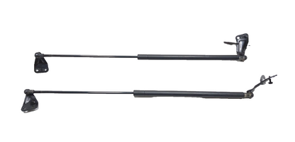 2011 Nissan Juke Trunk Lid Shock Strut Support Pair OEM