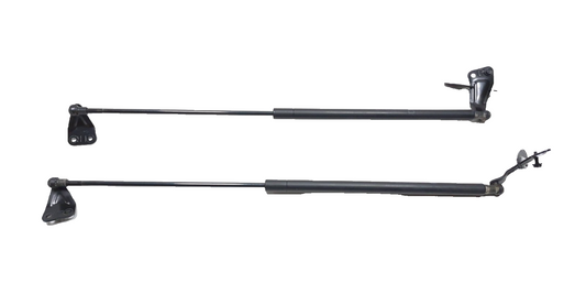 2011 Nissan Juke Trunk Lid Shock Strut Support Pair OEM