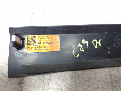 2019 Tesla Model 3 A Pillar Trim Cover And Door Sill Scuff Plate OEM
