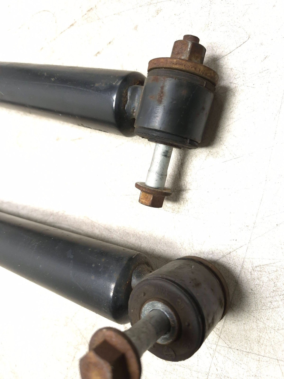 2019 Ford Ecosport Rear Shock Strut Absorber Pair OEM