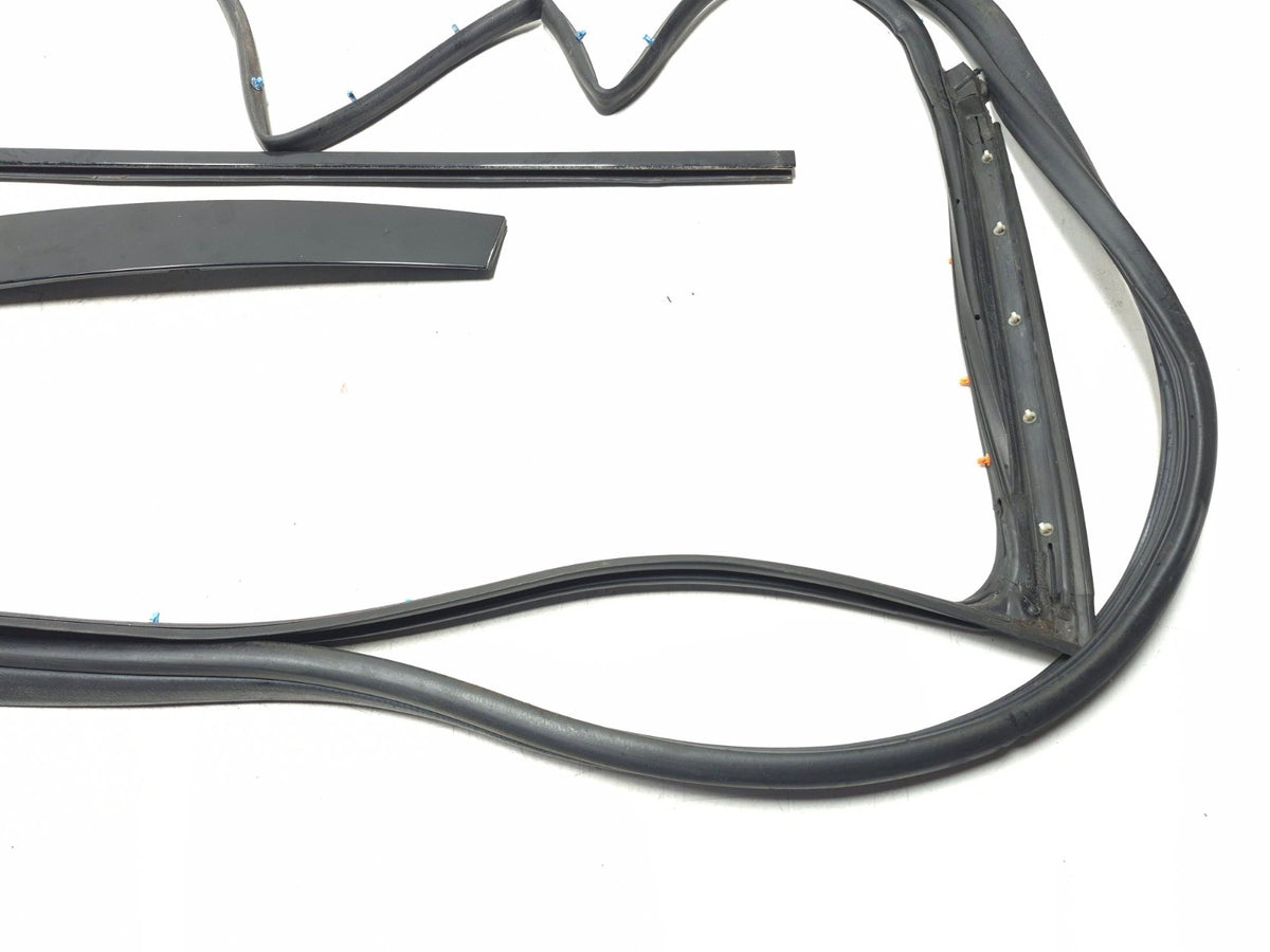2004-2008 Acura Tl Front Door Weatherstrip Seal & Belt Passenger Side Right OEM
