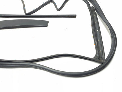 2004-2008 Acura Tl Front Door Weatherstrip Seal & Belt Passenger Side Right OEM
