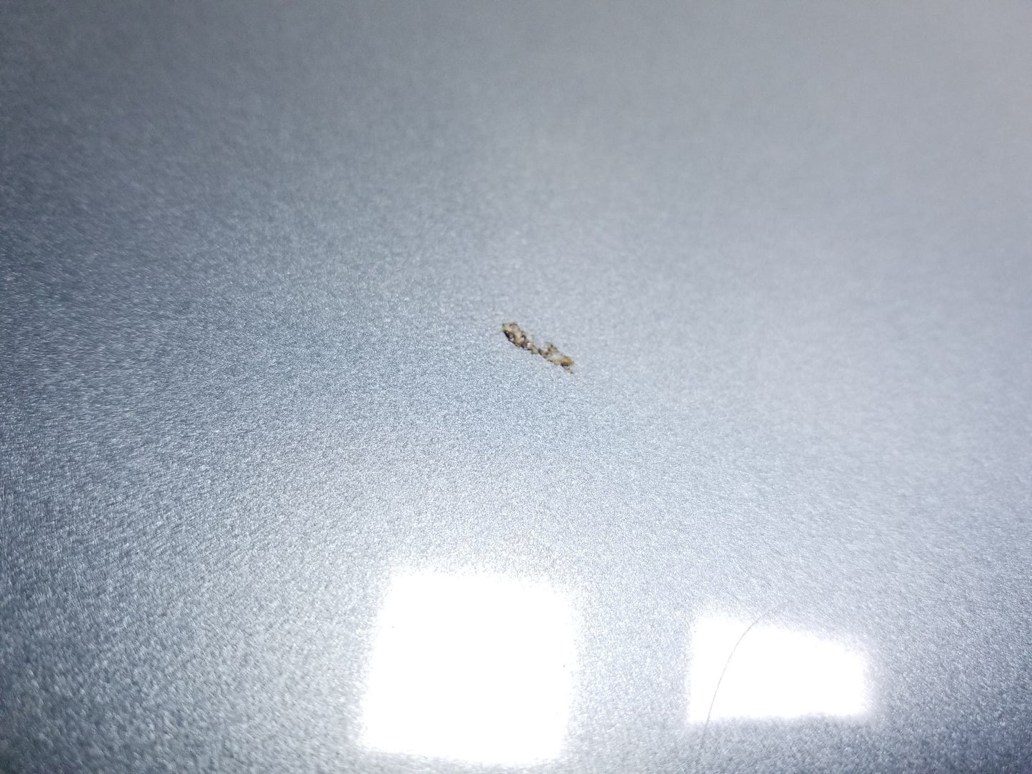 2011 Mazda Cx-9 Hood Panel OEM