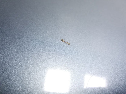 2011 Mazda Cx-9 Hood Panel OEM