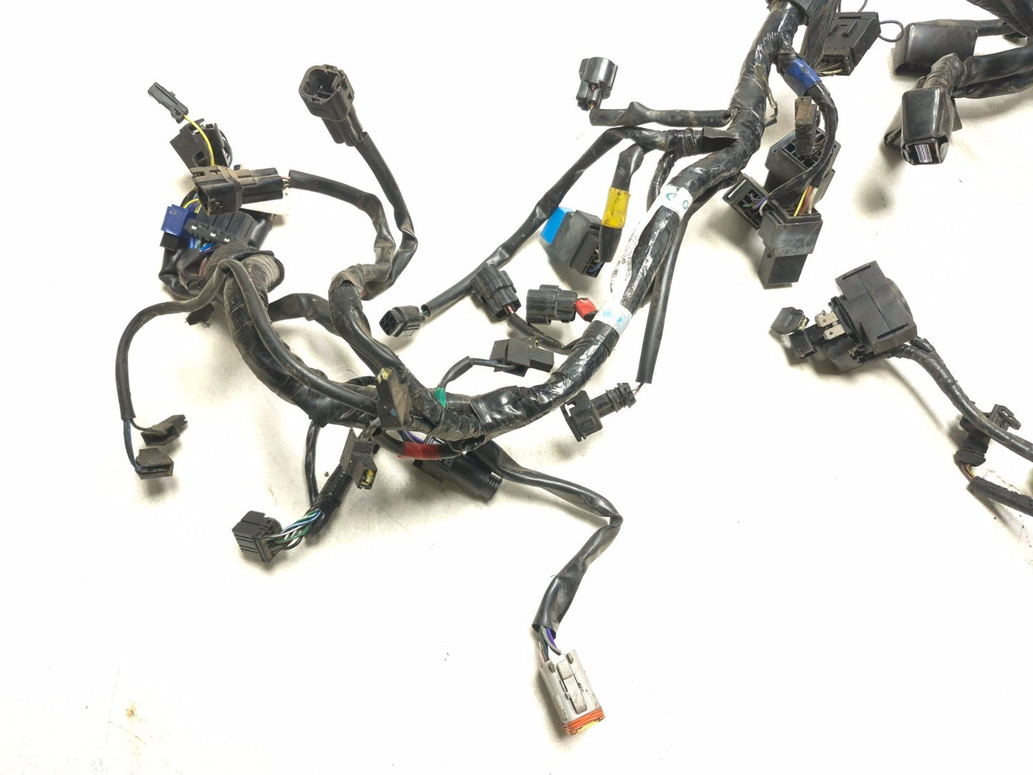 2014 Triumph America Main Wire Harness OEM