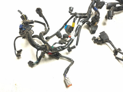 2014 Triumph America Main Wire Harness OEM