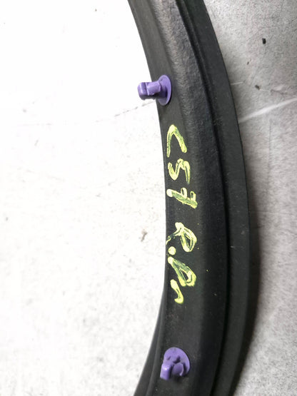 2010 Nissan Maxima Rear Left Door Weatherstrip Seal OEM