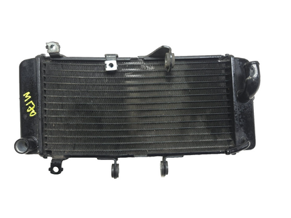2015 Suzuki Gw250 Inazuma 250 Radiator OEM
