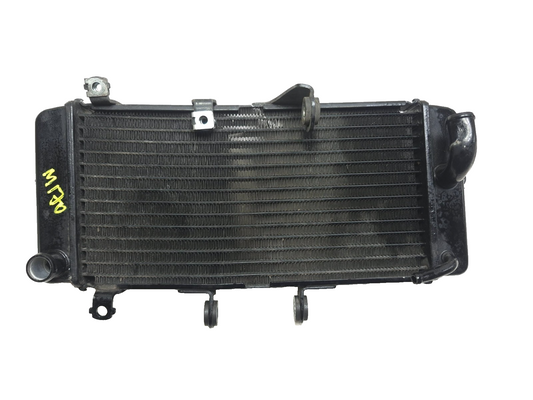 2015 Suzuki Gw250 Inazuma 250 Radiator OEM