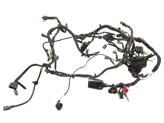 2023 Kawasaki Ninja 400 Ex400 ABS Main Wire Harness Loom OEM