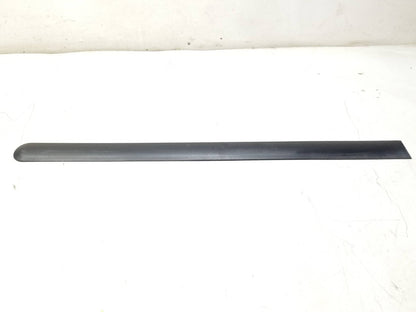 2012 Ford Transit Connect Door Molding 4pcs OEM