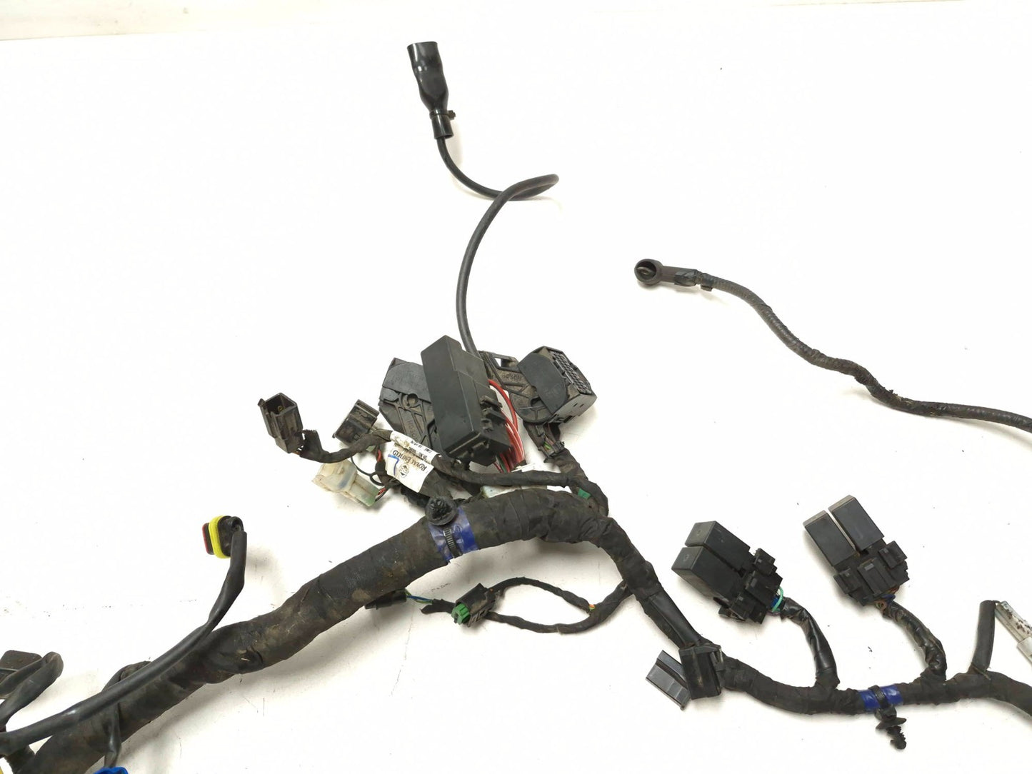 2022 Royal Enfield Int650 Main Wire Harness Loom OEM