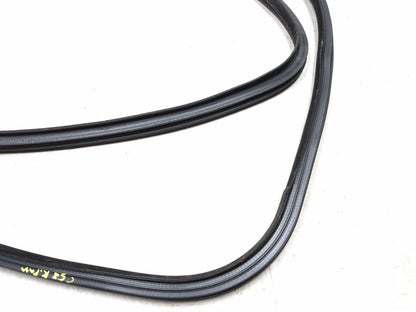 2018 Chrysler 300 Front Door Weatherstrip Seal Passenger Side Right OEM