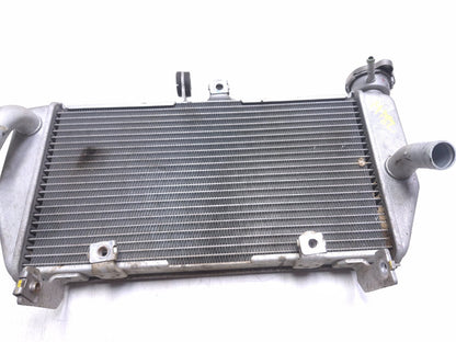 2016 Yamaha Yzf R3 Radiator OEM