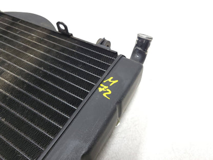 1987 1988 Honda Cbr1000f Hurricane Engine Coolant Radiator OEM