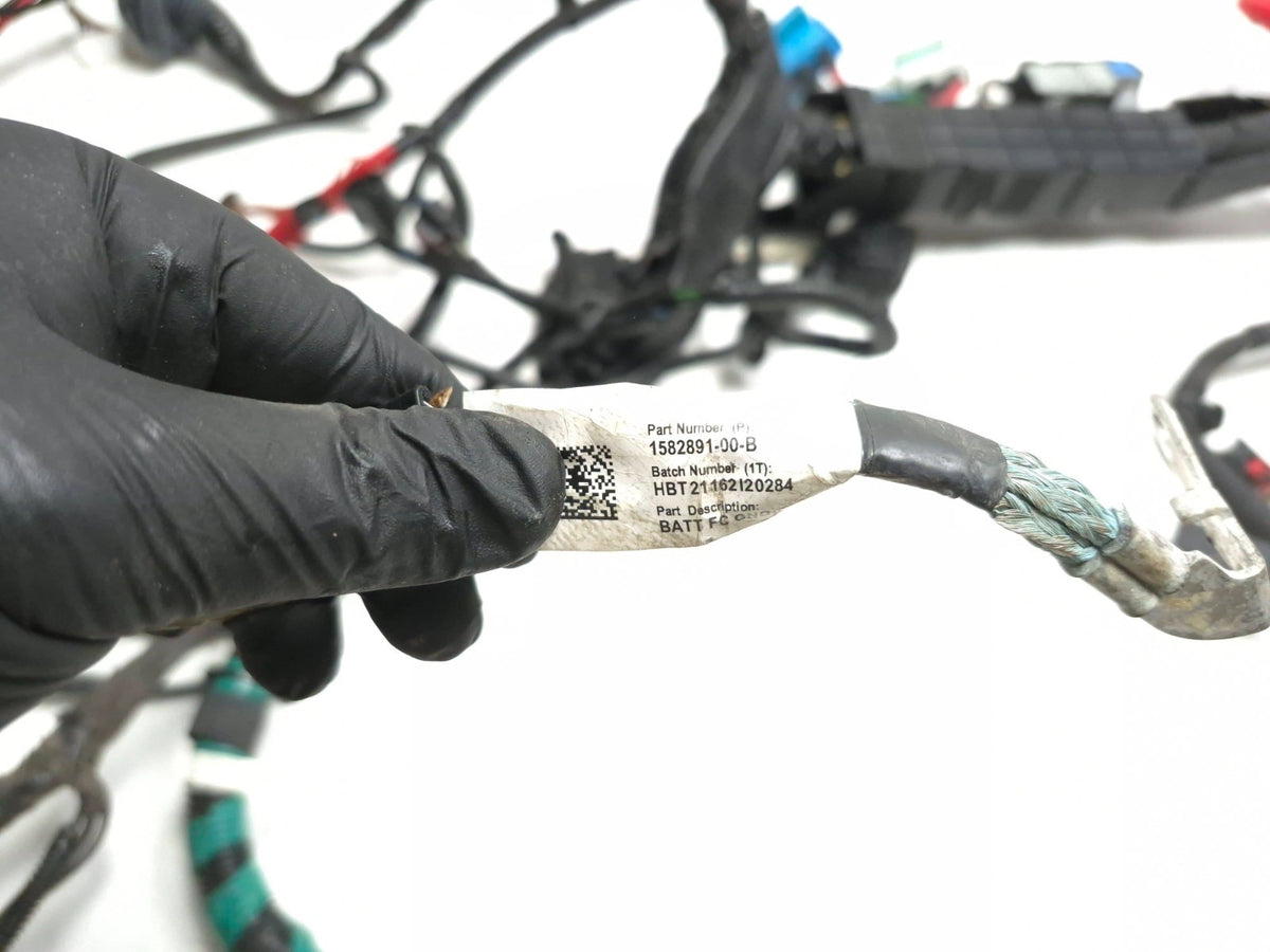 2021 Tesla Model 3 RWD Front Main Body Under Hood Wire Harness 2567964-02-b OEM