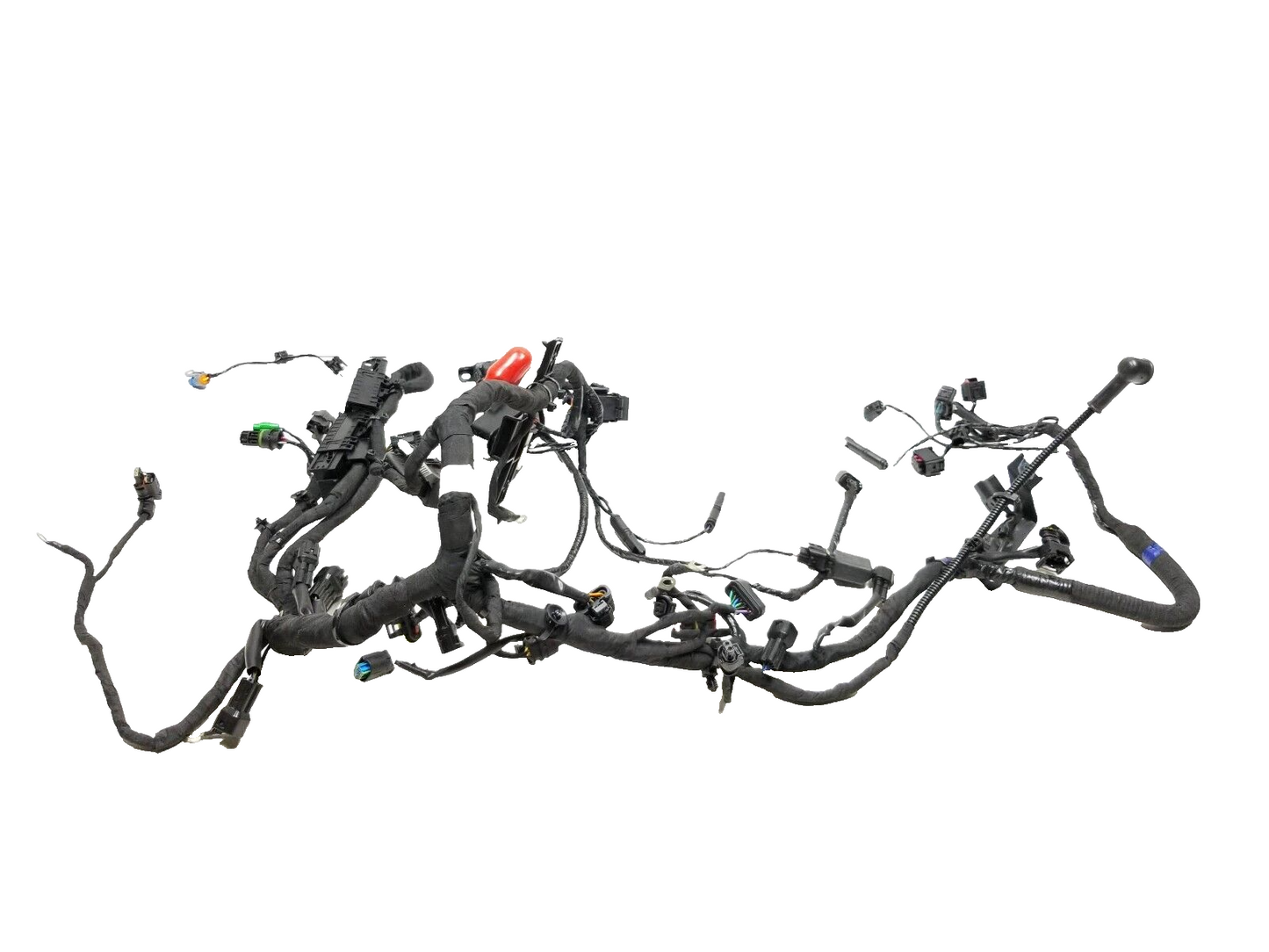 2023 BMW G310r Main Wire Wiring Harness  OEM