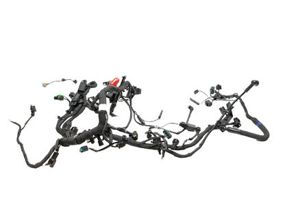 2023 BMW G310r Main Wire Wiring Harness  OEM