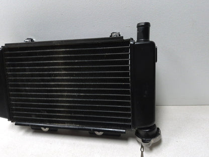 2023 Cf Moto Lifan 300ss Cooling Radiator OEM