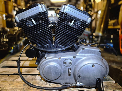 1991-2003 Harley Sportster Xl1200c Engine Motor 5-speed Chain Drive Conversion