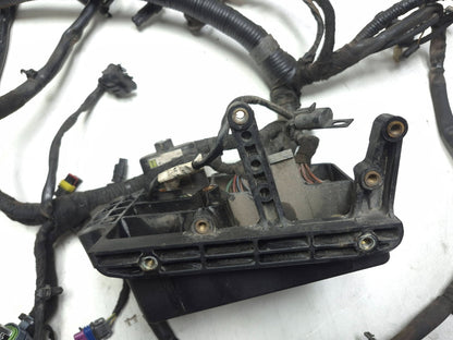 2008 Harley-davidson Dyna Fat Bob Fxdf Main Wiring Wire Harness Loom OEM