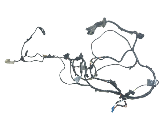 2008 BMW X6 E71 Front Door Wire Harness Passenger Side Right OEM