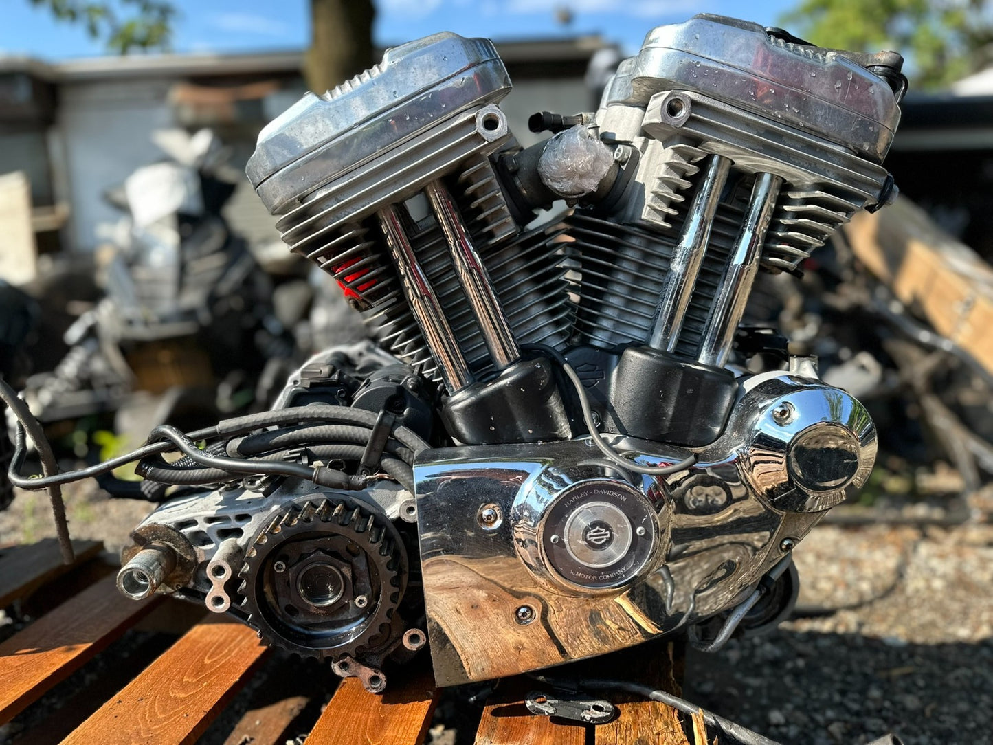 2004 Harley-davidson Sportster Xl883 Engine Motor & Transmission OEM