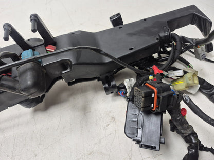 2022 Moto Guzzi V7 Main Wire Harness OEM