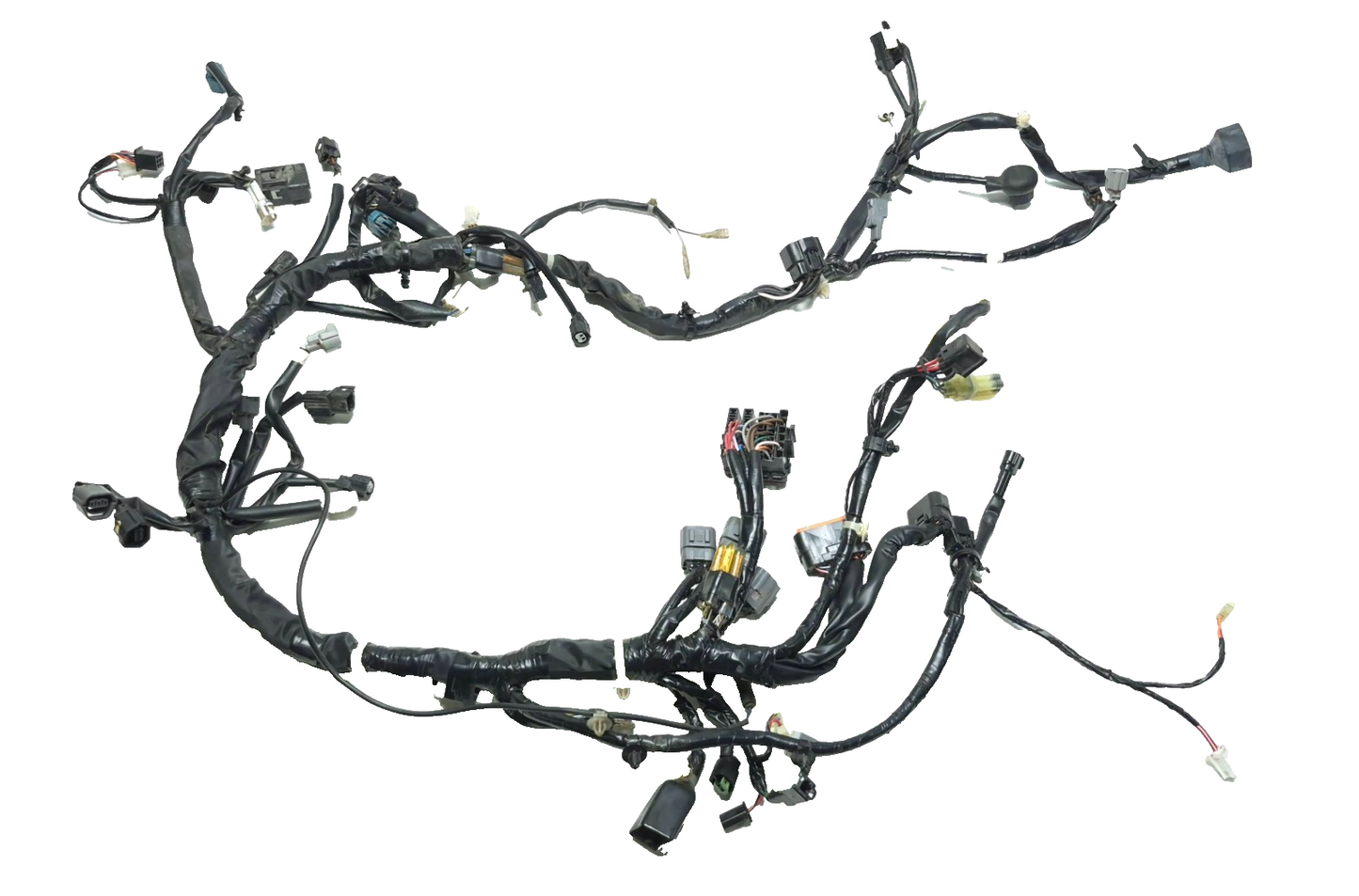 2022-2024 Kawasaki Versys-x 300 Kle300 OEM Main Wire Harness 26031-2642