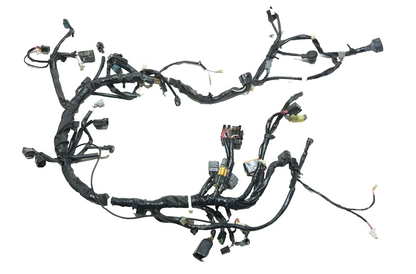 2022-2024 Kawasaki Versys-x 300 Kle300 OEM Main Wire Harness 26031-2642